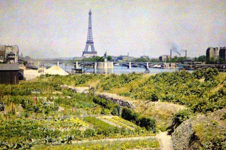 Париж 100 лет назад в фотографиях